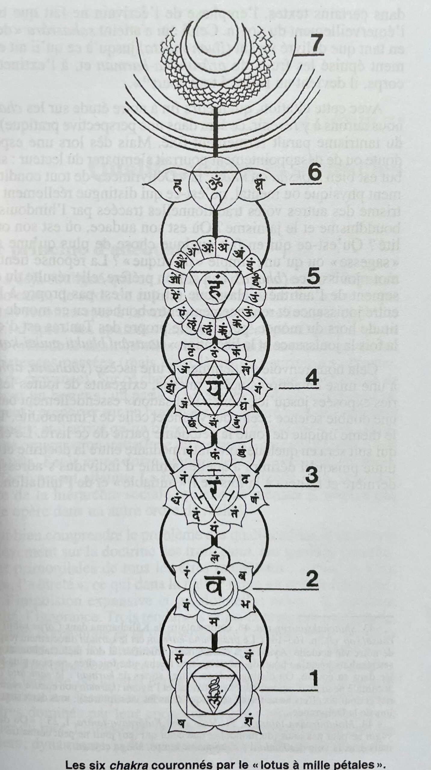 Les six chakras